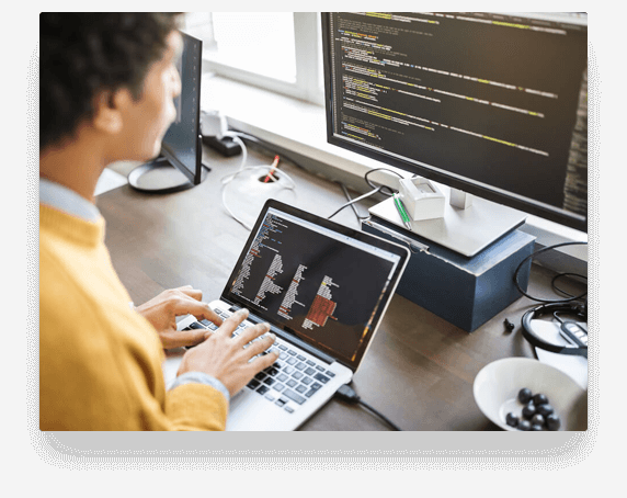 Web Development Services Web Development Services