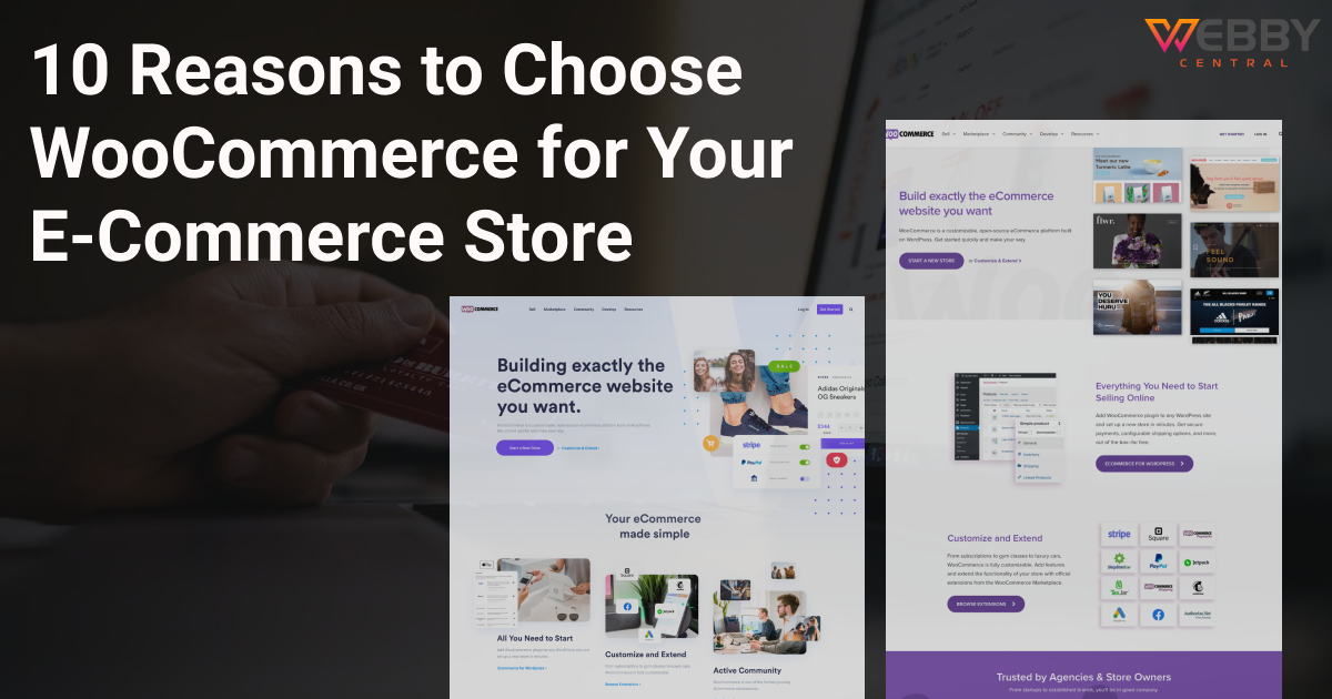 10 Reasons to Choose WooCommerce for Your E-Commerce Store