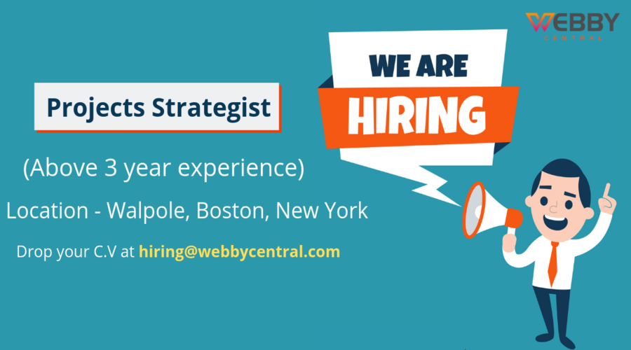 Project Strategist